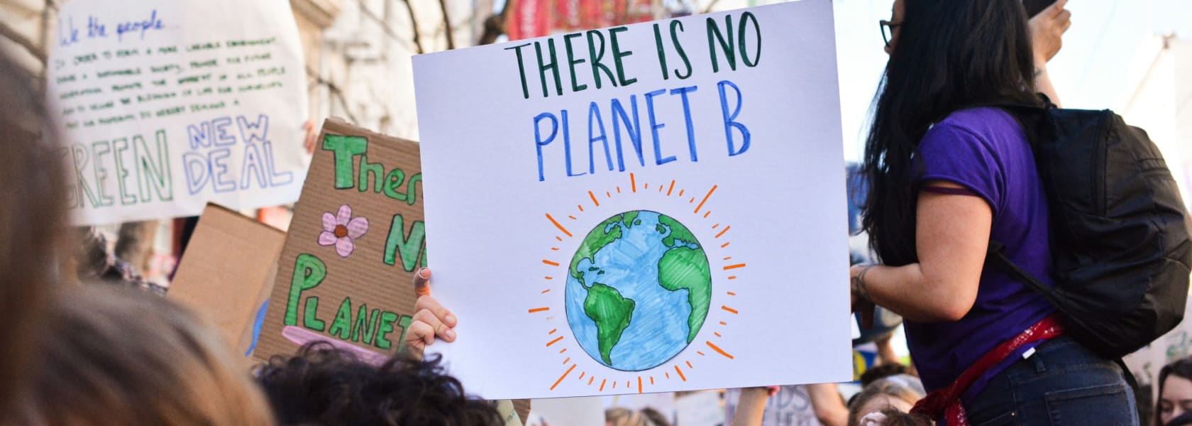 Eco-Anxiety and the Climate Professional